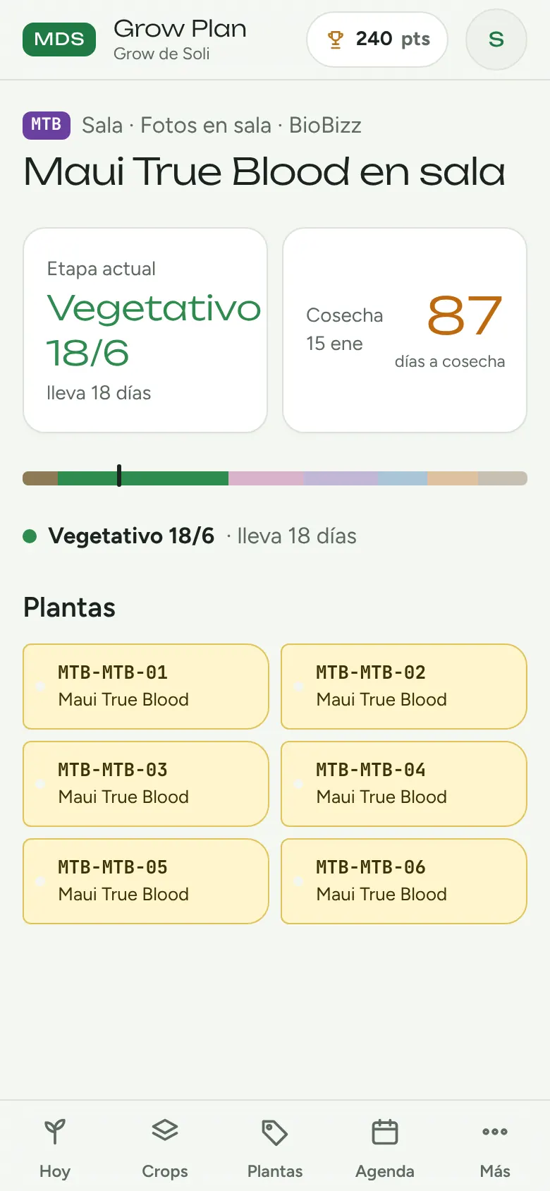 Cada planta con su etiqueta
